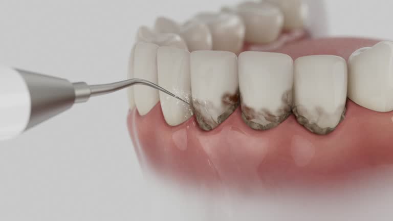 Reliable Dental contractor in Lucedale, MS by Dentist Open Now